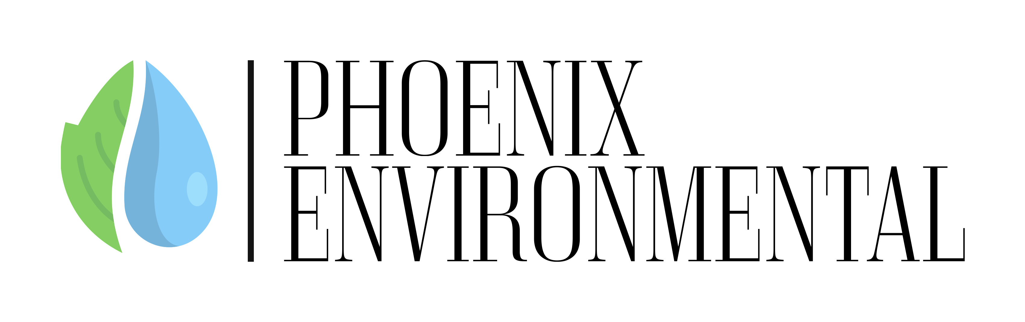 Phoenix Environmental